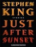 Just After Sunset Publisher: Large Print Press; Lrg edition