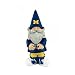 University of Michigan Garden Gnome