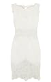 Cotton Lace Panel Dress