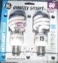 2-Pack Daylight GE 60 Watt Equivalent Compact Fluorescent CFL