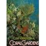 Coral Gardens