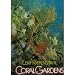 Coral Gardens