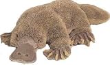 Plush Platypus 18