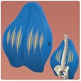 Contour Freedom Back Cushion with Massage - Contour Freedom Back Cushion - Model 551041