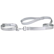 "Glitzy Sheen" Single-row Embellished Rhinestone Dog Lead - Small, Metallic Silver