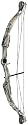 Bear Archery Warrior 2 Youth Bow Set