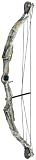 Bear Archery Warrior 2 Youth Bow Set