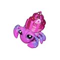 Xia-Xia Bimini Hermit Crab