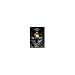 Berserk #1 (Japanese Language) (1)
