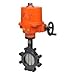 Belimo Aircontrols (Usa), Inc. Butterfly Valve