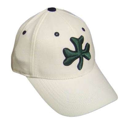 NCAA FLEX FIT HAT CAP NOTRE DAME FIGHTING IRISH ND