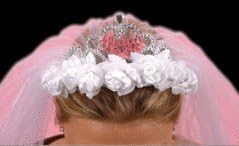 Flashing Bride To Be Tiara with White Veil by Hen Party Online