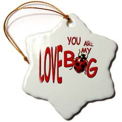 You are My Love Bug - 3 Inch Snowflake Porcelain Ornament
