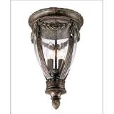 Acropolis Tortoise Shell 14 1/4 High Outdoor Ceiling Light
