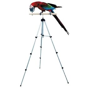 Tripod Travel Perch 2 inch Perch
