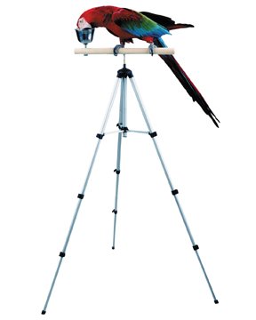 Tripod Travel Perch 2 inch Perch