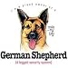 German Shepherd Proud Owner Womens Scoop Neck T-Shirt