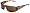 Tortoise Frame/Bronze Lens