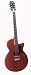 Belvedere Junior Mahogany Guitar by DiPinto