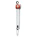 CM Hurricane Hand Chain Hoist, Hook Mount
