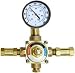 Haws 9201EF N/A Thermostatic mixing valve that mixes hot and cold water to supply tem...