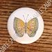 Butterflies Patchwork Trans Butterfly #2 Drawer Pulls Knobs Image