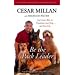 Be the Pack Leader: Use Cesar's Way to Transform Your Dog ... and Your Life