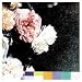 Power Corruption & Lies