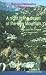 A Night in the Desert of the Holy Mountain: Discussion with a hermit on Jesus prayer