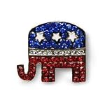 Republican Pin