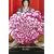 Princess Masako: Prisoner of the Chrysanthemum Throne
