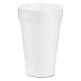 Dart® Drink Foam Drink, 14 oz, White, 1000/Carton