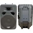 1000-Watt 2-Way 15" Passive Loudspeaker