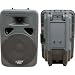 1000-Watt 2-Way 15" Passive Loudspeaker