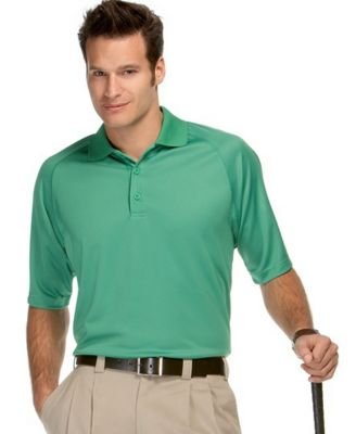 Click here to buy Ashworth Performance Mesh Golf Polo Shirt by Ashworth.