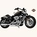 2008 Xl 1200n Sportster&Acirc;&reg;1200 Nightster
