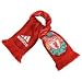 Sports : FC Liverpool Schal Home 2009
