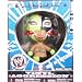 REY MYSTERIO - VINYL AGGRESSION 2 WWE WRESTLING ACTION FIGURE (3" TALL)