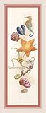 Seashore Discovery by Lisa Danielle. ART PRINT ON CANVAS with 3/4 inch deep bars. 6.43 inches width by 18.40 inches height. Highest Quality Art Poster Print