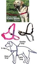 Easy Walk Harness - Black Small/Medium 'Tweener Size
