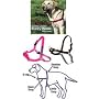 Easy Walk Harness - Tweener Size M/L Black