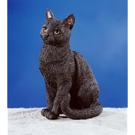 Cat - British Bombay