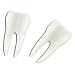 Fred Tooth Piks- Pack of 24 Piks