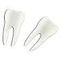Fred Tooth Piks- Pack of 24 Piks