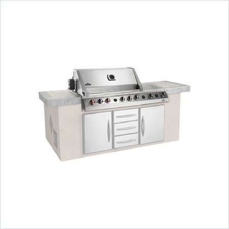 Napoleon Grills Prestige V Stainless Steel
