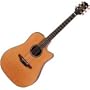Takamine EAN10C Acoustic-Electric guitar