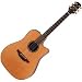 EAN10C Acoustic Electric Guitar