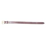 Boyt Harness Co. D26- Leather Gun Dog Collar