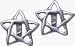Sterling Silver Pentagram Earrings