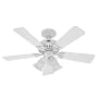 Hunter 20436 Beacon Hill Three-Light 42-Inch Five-Blade Ceiling Fan, White with Frosted Globes